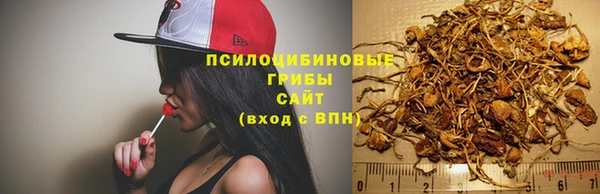 соль ск Заволжье