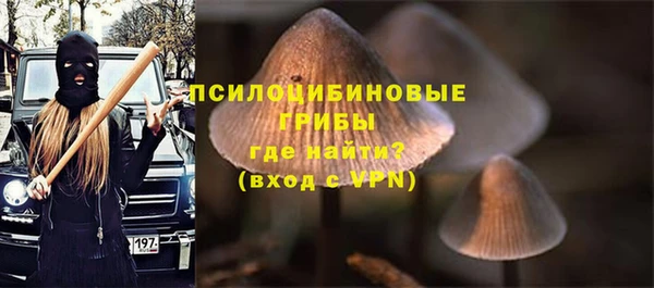 шишки Ельня