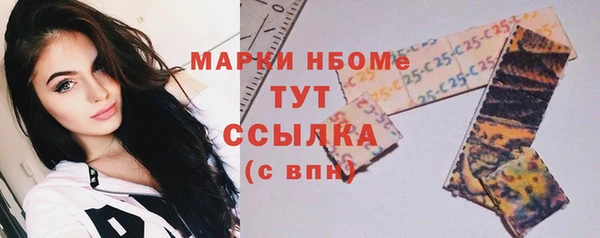 шишки Ельня