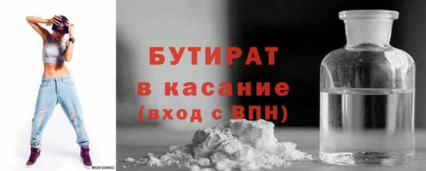 шишки Ельня