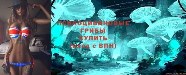 соль ск Заволжье