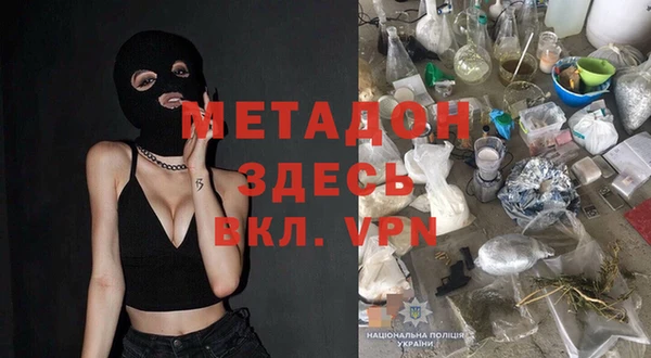 шишки Ельня