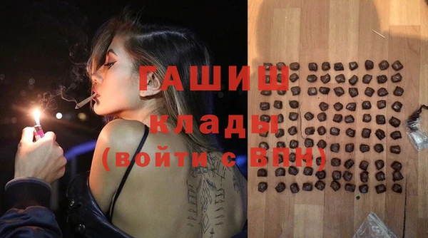 шишки Ельня