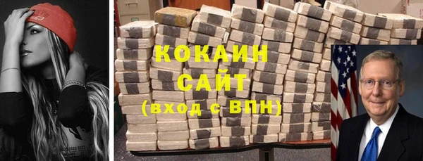 шишки Ельня