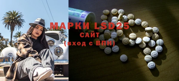 шишки Ельня