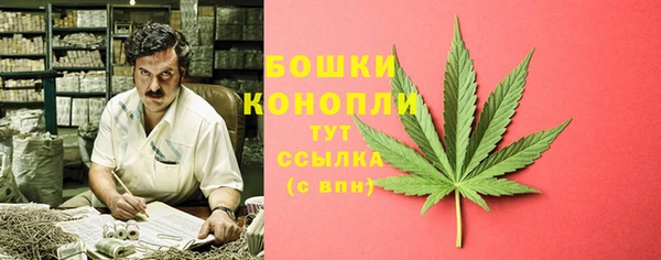 шишки Ельня