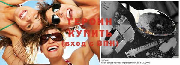 шишки Ельня