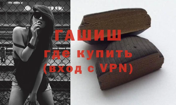 шишки Ельня